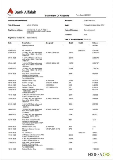 Modèle Word et PDF de relevé de compte de la Pakistan Bank Alfalah